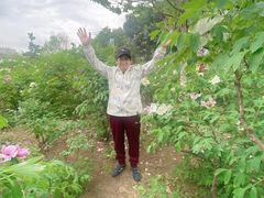 -长白山聚龙火山温泉