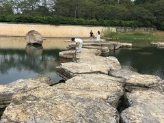 -滆湖低碳生态公园