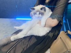 -零纪元VR体验馆·桌游(黄浦店)