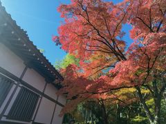 -常寂光寺