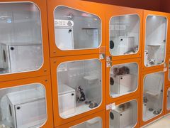 -三花喵·撸猫购宠·宠物生活馆(虹桥南丰城店)