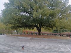 -团城山公园