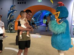 -石家庄海洋公园