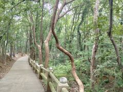-惠山国家森林公园