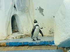 -太平洋海底世界