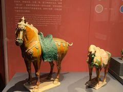 -陕西自然博物馆