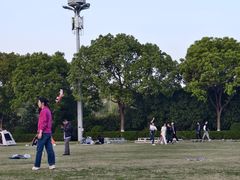 -羊山湖公园