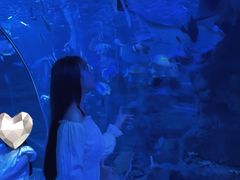 -江和美海洋公园