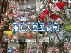 -港汇恒隆广场