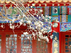 -碑林公园