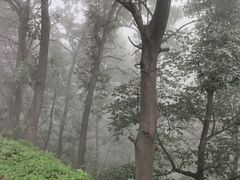 -终南山国家森林公园