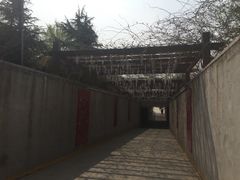 -西安汉城湖景区