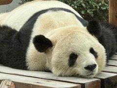 -无锡动物园·太湖欢乐园