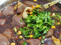 -大邑李记肥肠血旺