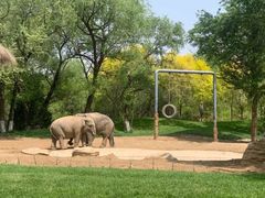 -北京野生动物园