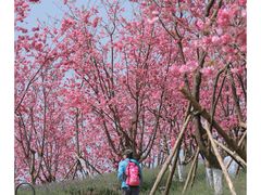 -七彩云南古滇温泉山庄