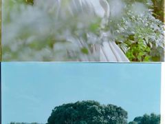 -艾溪湖湿地公园