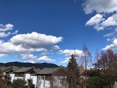 -时光吧·大堂吧·丽江和府洲际度假酒店