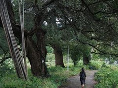 -上坦村