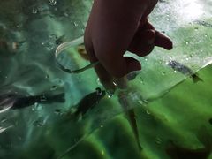-重庆欢乐海底世界