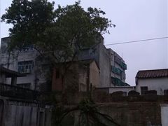 android_upload_pic-达濠古城