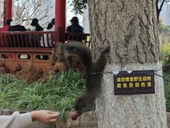 -翠湖公园