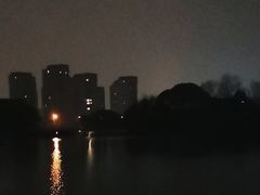 -新江湾城公园