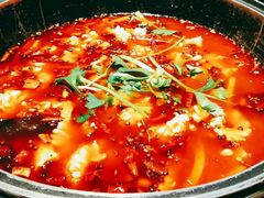 -重庆乌鱼庄·龙滋鲜(青羊大道店)