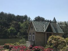 -木兰云雾山