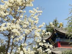 -西安市广仁寺