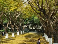 -梵天禅寺