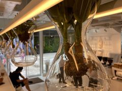 -% Arabica阿拉比卡咖啡(前滩太古里店)