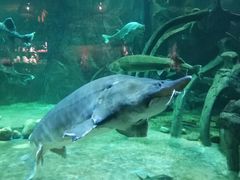 -华夏文旅海洋公园