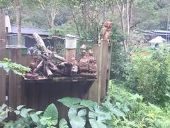 -太鲁阁公园
