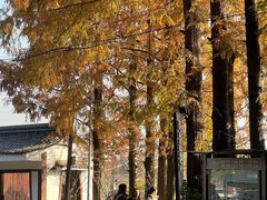 -宁波市保国寺古建筑博物馆