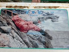 -广东惠东海龟国家级自然保护区