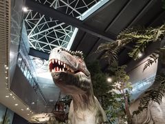 -湖南省地质博物馆