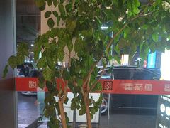 -三天打鱼(奥体店)