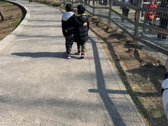 -前小桔亲子创意农场·草莓采摘·露营烧烤