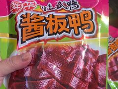 -舜华临武鸭·湖南零食特产(三王街店)