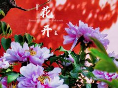 -北京市劳动人民文化宫