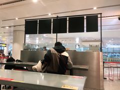 -麦当劳(北京大兴机场二层国内到达(安检外)店)