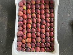 -江杨农产品批发市场