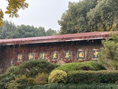 -中国茶叶博物馆(双峰馆区)