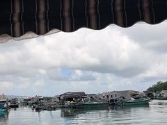 -蓝湾碧波·老字号·疍家非遗海上餐厅