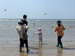 -老虎石海上公园