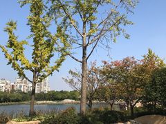 -新江湾城公园