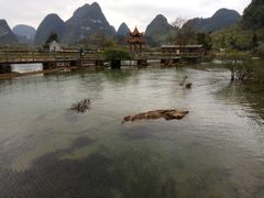 -靖西鹅泉风景区