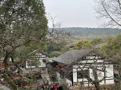 -兴福老面馆(寺路街店)