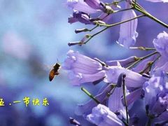 -麦当劳(东苑丽宝商业广场店)